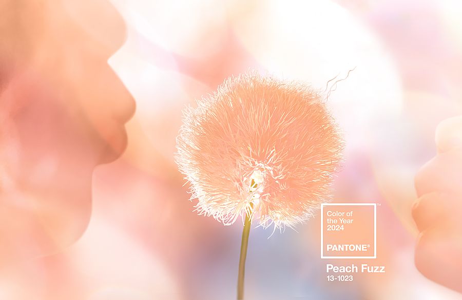 Peach Fuzz, Pantone's Color of the Year 2024